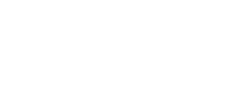 aig logo